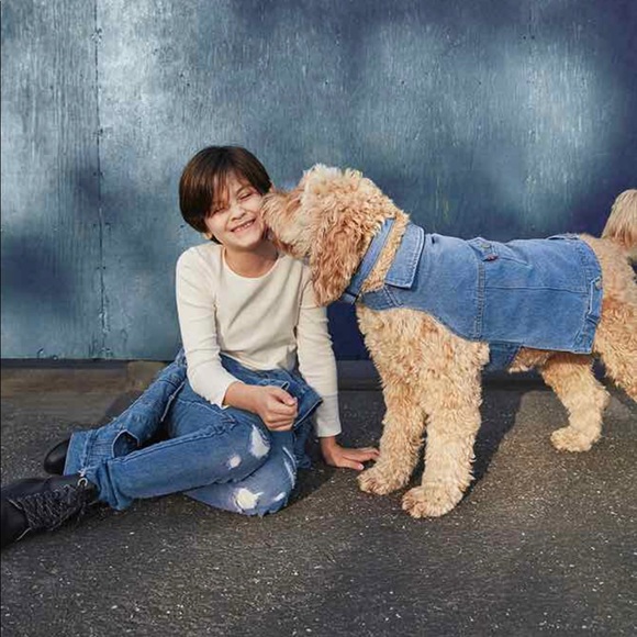 target levis dog jacket